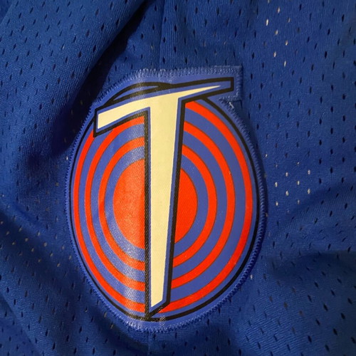 Nba shorts collaboration with Space Jam, new, size L, blue