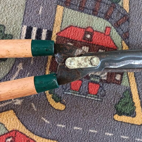 Papillon hedge shears with wooden handles