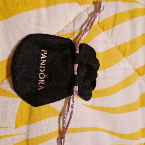 Pandora pouch like new, small size with inner divider
