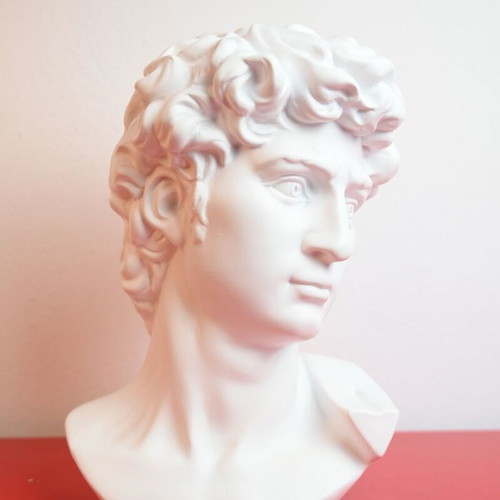 Bust of David by Michelangelo used, resin 20x28 cm