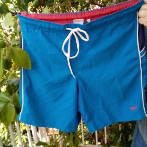 Speedo men's swimwear used blue Large