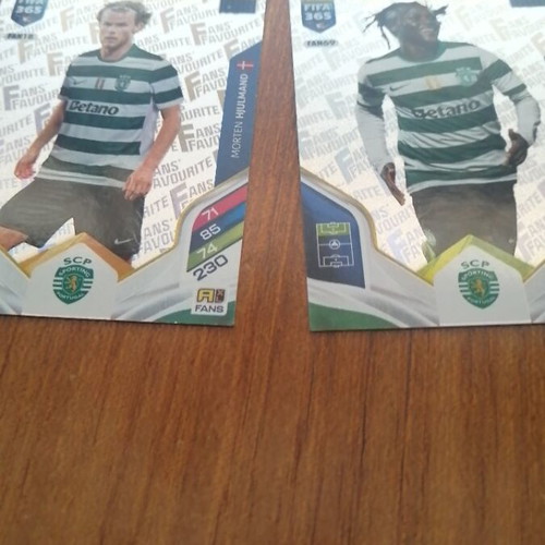 Fans Favorite Quenda Hjulmand Sporting Lisbon stickers like new