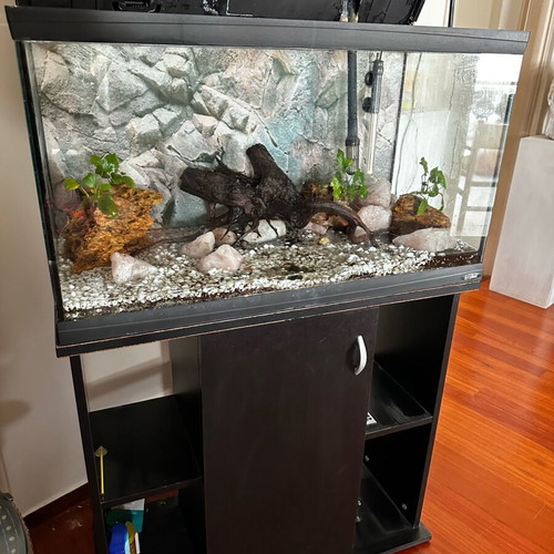 Fish Aquarium 100 liters used with cabinet and full equipment