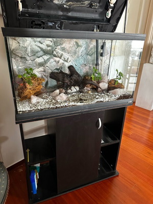 Fish Aquarium 100 liters used with cabinet and full equipment