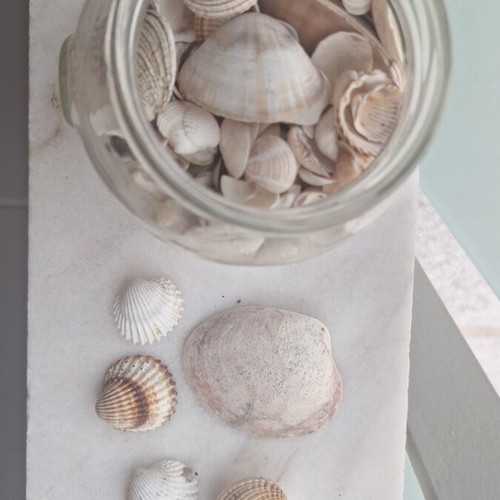 Sea treasures in a jar with natural shells, used