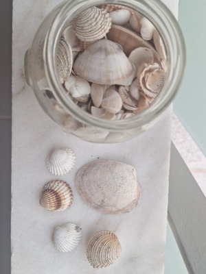 Sea treasures in a jar with natural shells, used