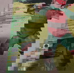  Αποκριάτικη στολή χελωνονιτζακια με 4 μάσκες