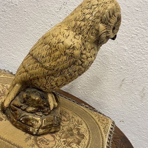 Old Dutch owl used, nocturnal bird