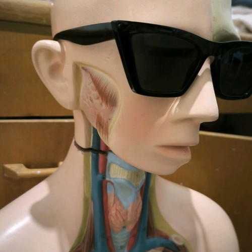 Pull&bear Cat Eye sunglasses 5894/300 new