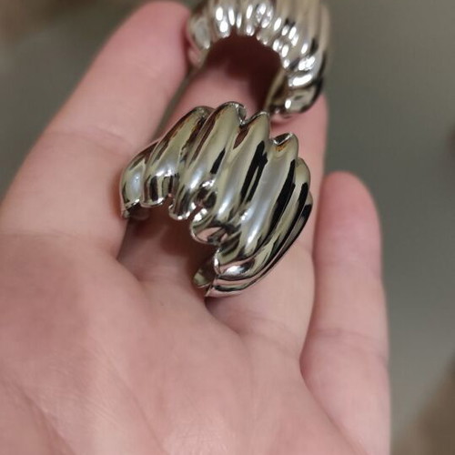 Impressive silver earrings new, iron and titanium steel