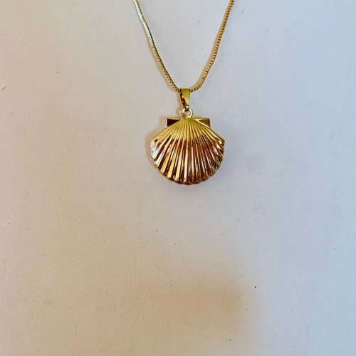 Gold-Toned Necklace with Seashell Pendant New