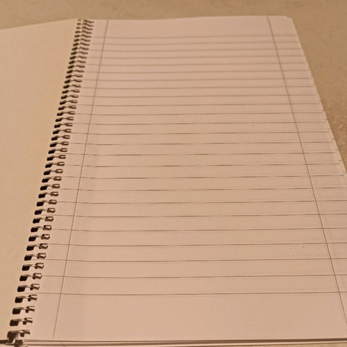 Spiral notebook ruled 100 sheets new