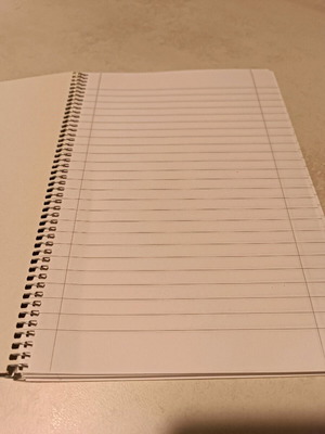 Spiral notebook ruled 100 sheets new
