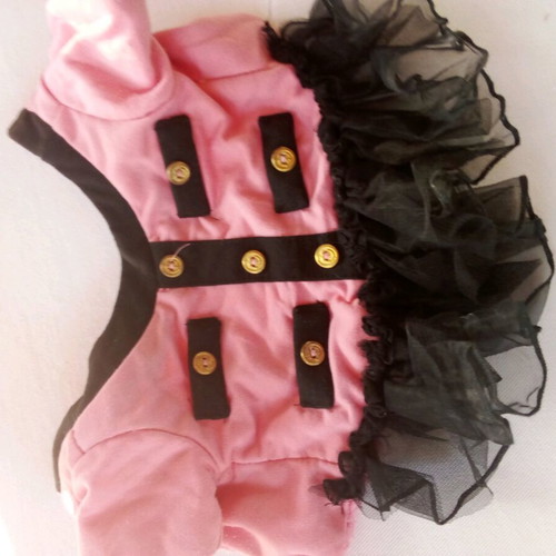 Dress for small dog new