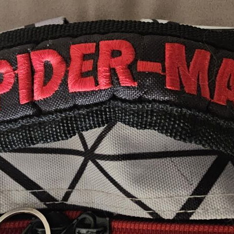 Spiderman school backpack GIM