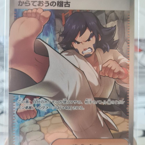 Black Belt's Training Super Rare 220/193 Mega Dream ex Japanese card new