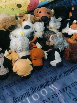 Stuffed dogs used, pack of 25 pieces