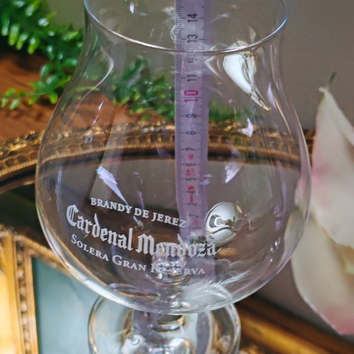 Cardenal Mendoza Magnum brandy glass 800 ml
