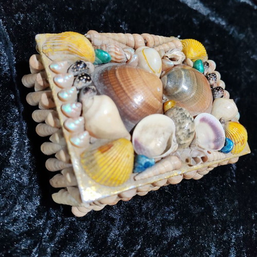 Vintage jewelry box with natural sea shells and royal velvet