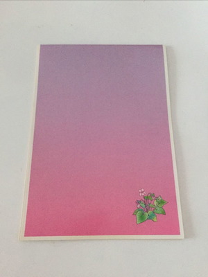 Complete letter writing pad new