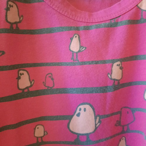 Xdye sleeveless top fuchsia medium like new with bird design