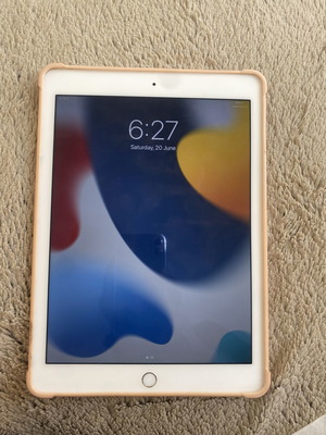 iPad Air 2 used with case and charger