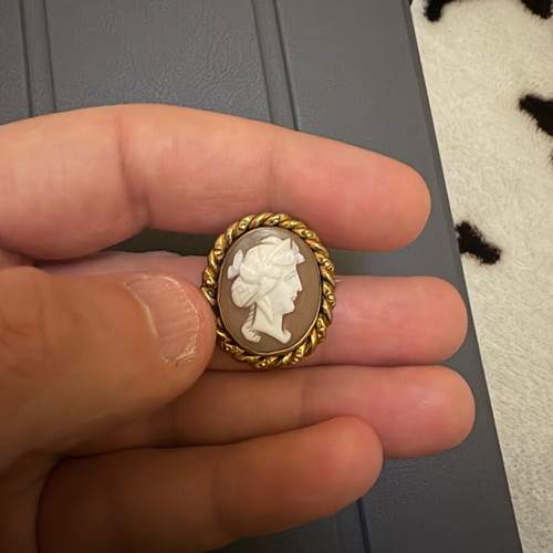 Cameo pin used with genuine design
