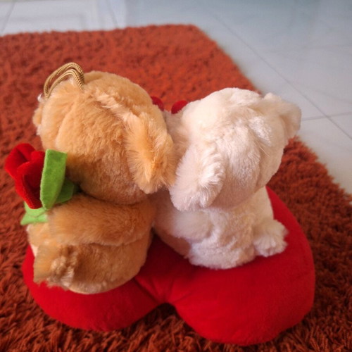 Valentine teddy bear dolls like new