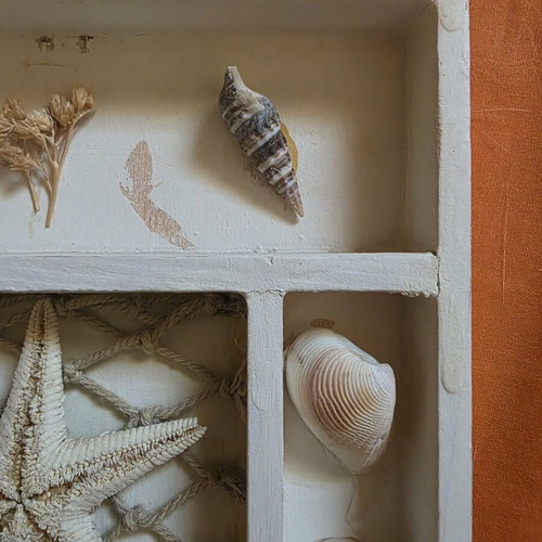 Decorative small frame with seashells like new