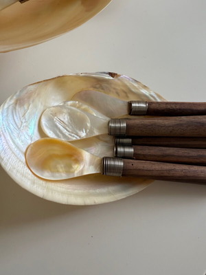 Serving set for dessert or fruit handmade from shells and Indonesian wood new