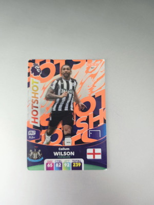 Panini Adrenalyn XL Premier League 2024/25 Hotshot Callum Wilson