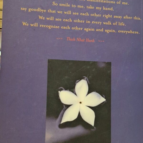 Books by Gandhi, Dalai Lama and Buddhist used, English
