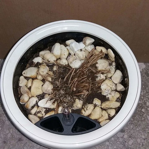 Vase used 35x35 cm