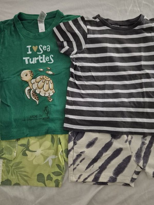 Set of 2 toddler t-shirts and 2 shorts like new, size 92cm