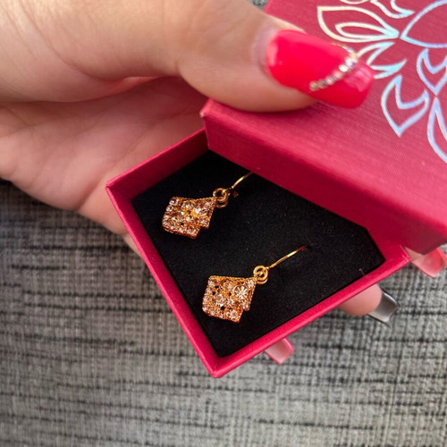 Earrings new brown