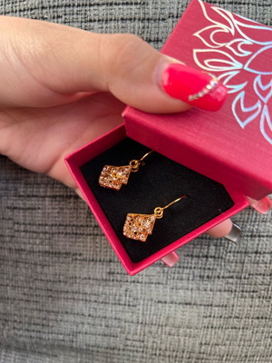 Earrings new brown