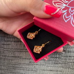 Earrings new brown