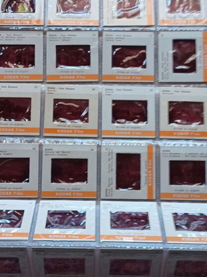 Souvenir Rome 60 color slides σαν καινούργιο