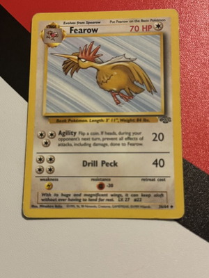 Fearow Jungle Pokémon card 36/64
