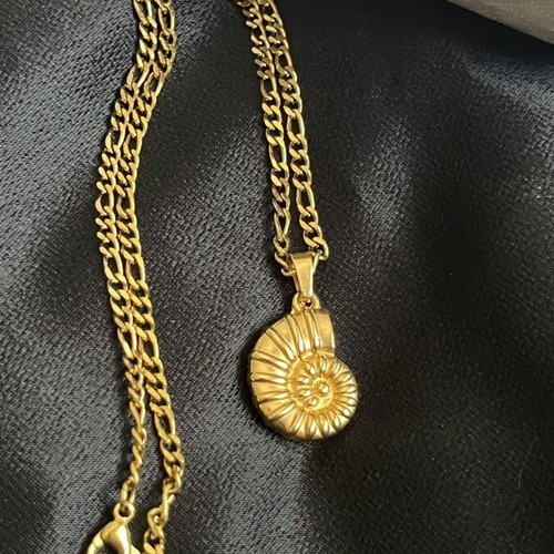 Necklace steel thick chain with removable summer pendant, like new