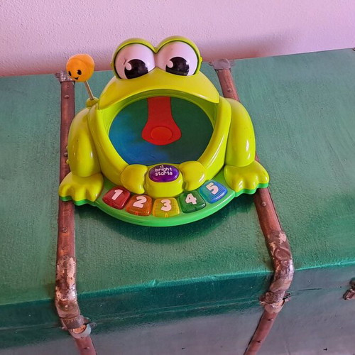 Frog toy bright used with batteries