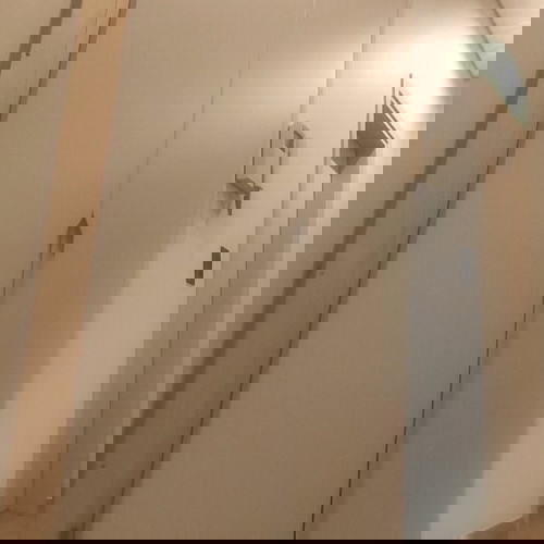 Μασιφ φύλλα ντουλάπας καινούργια, ατόφιο ξύλο, 3 τεμάχια, χρώμα 9003