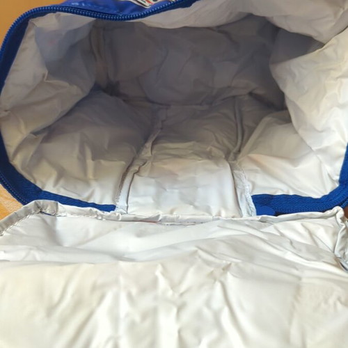 Pepsi 2002-2003 collectible cooler bag new