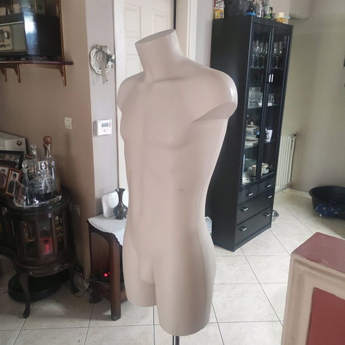 Professional male bust like new with inox base