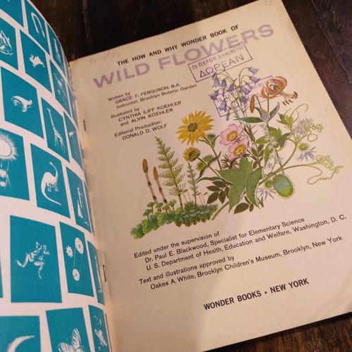 Wild Flowers 1962 book used, English edition