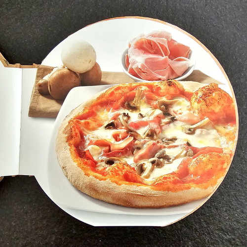 Pizza: 50 Easy Recipes cookbook like new, English edition