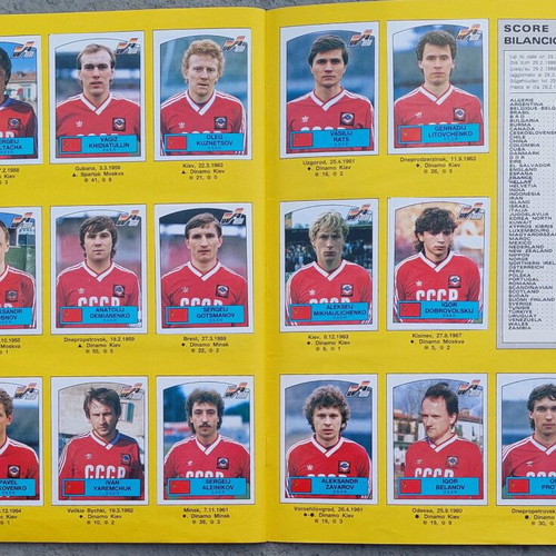 Euro 88 Panini sticker album like new