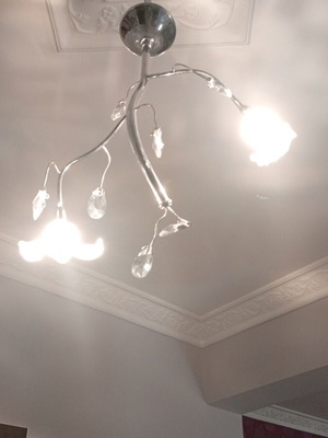 Crystal ceiling light 2-light used, glass lilies replaceable