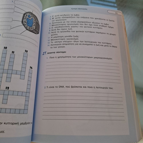 Physics Textbook Sixth Grade Used, Greek Language