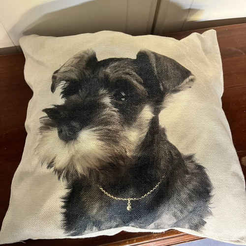 Schnauzer dog pillow like new